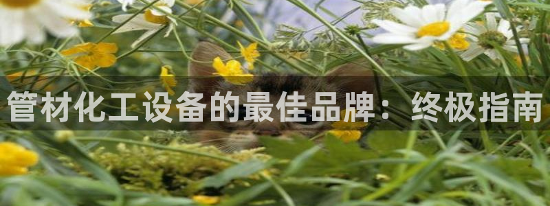 天辰平台注册地址