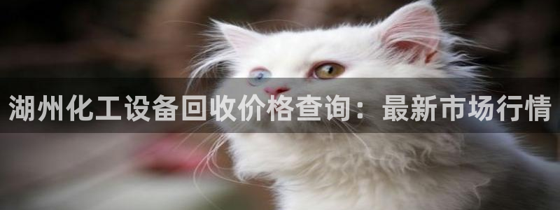 天辰娱乐代理注册平台登录系统