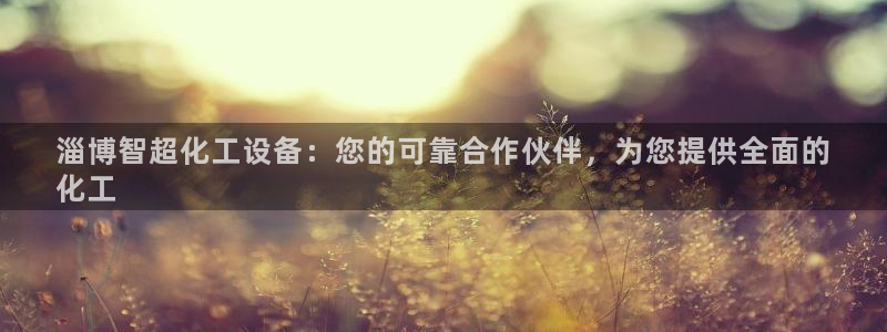 天辰娱乐平台用户评价与反馈
