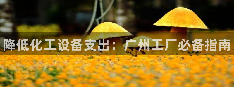 天辰会员是干什么的啊