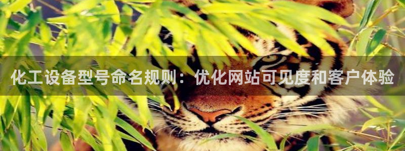 天辰娱乐代理注册平台登录系统异常