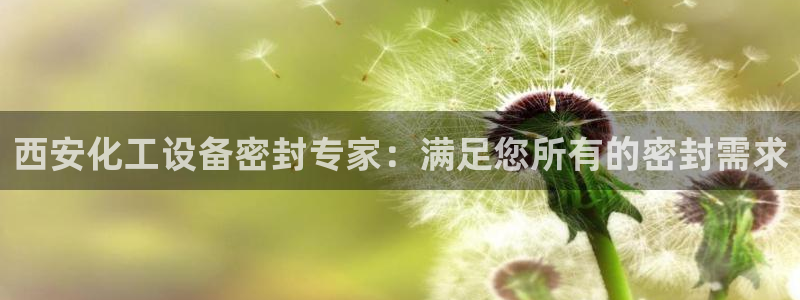 天辰娱乐代理注册平台登录系统