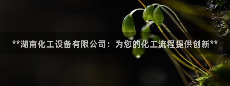 天辰平台飞 411o31 平台