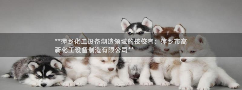天辰平台用户登录失败