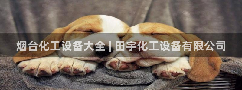 天辰平台话 411O31 平台