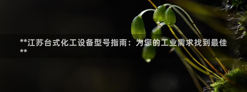 天辰平台用户登录不上去