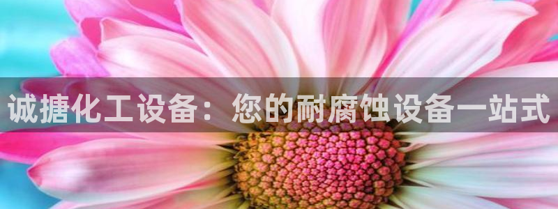 天辰平台测速登录不上怎么回事