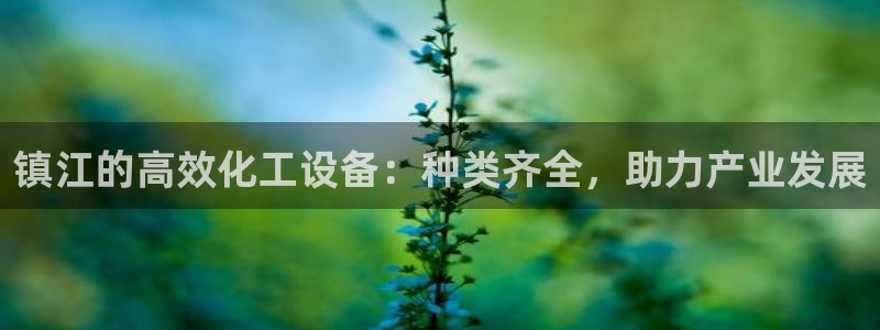 天辰平台用户登录不上