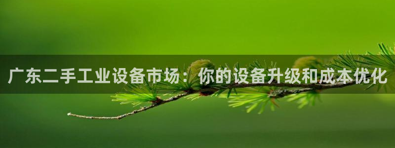 天辰平台会员多少钱