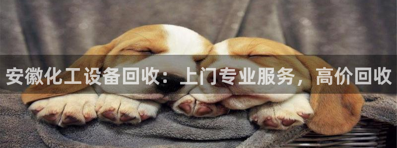 天辰平台注册登录地址在哪里看