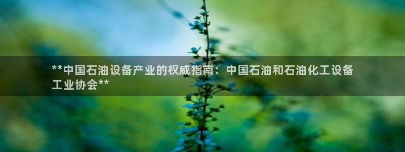 天辰娱乐都是干什么的公司