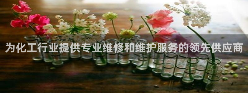 天辰娱乐的老板是谁：为化工行业提供专业维修和维护服务的领先供