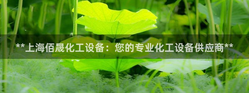 天辰平台怎么样赚钱的：**上海佰晟化工设备：您的专