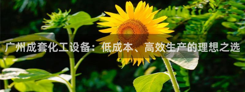 天辰网建设网