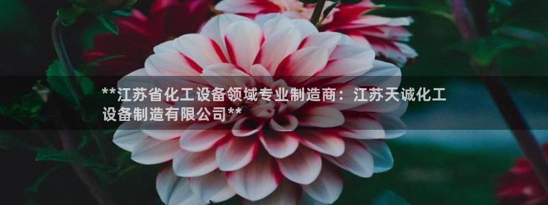 天辰平台网址大全