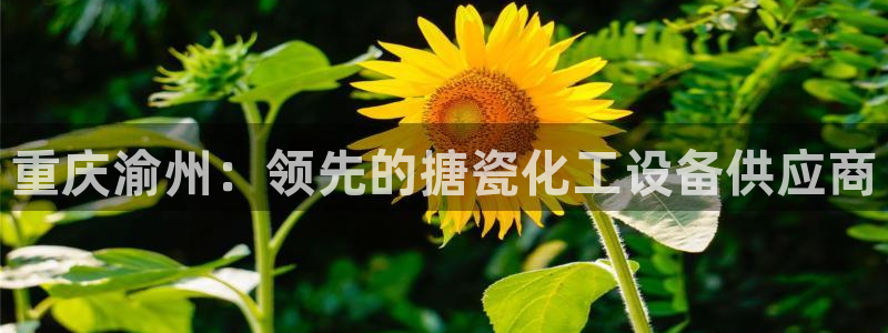 天辰平台会员值得买吗现在
