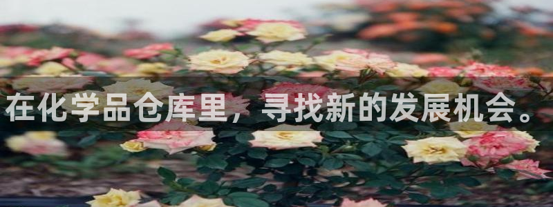 天辰网会员多少钱