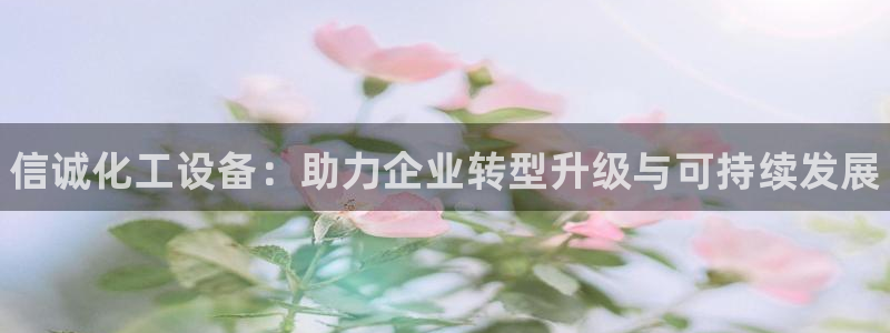 天辰平台测速登录不上怎么回事