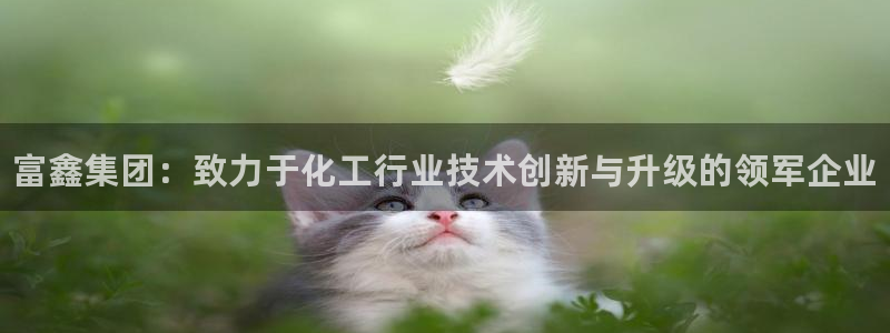 天辰平台登录注册不了：富鑫集团：致力于化工行业技术