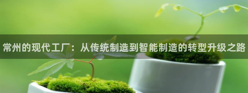 天辰平台注册登录地址在哪里找