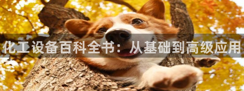 天辰娱乐官网最新公告公示