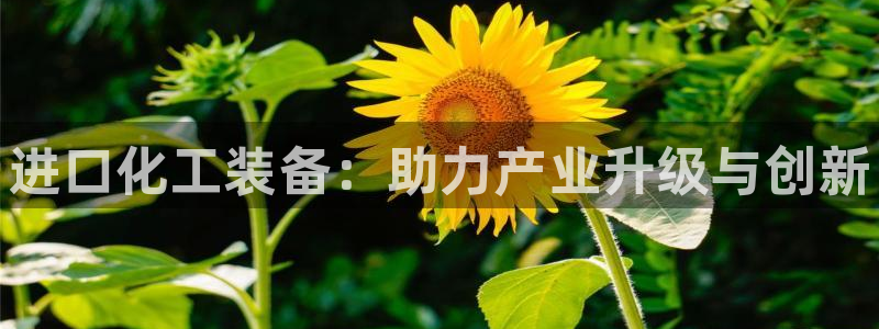 天辰注册会员要钱吗