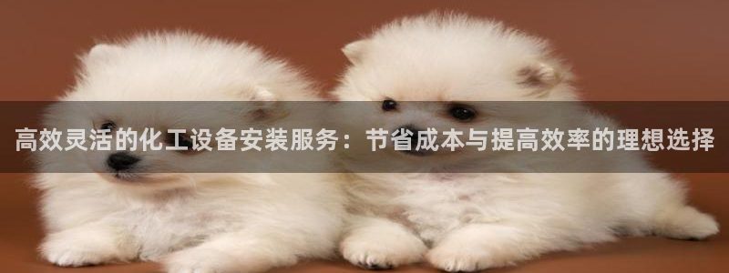 天辰平台专用注册通道安全吗：高效灵活的化工设备安装服务：节省