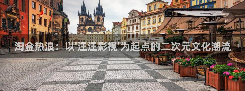 三妹影院：淘金热浪：以\'汪汪影视\'为起点的二次元文化潮流