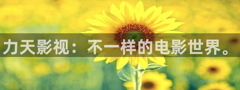 三妹影院在线观看：力天影视：不一样的电影世界。