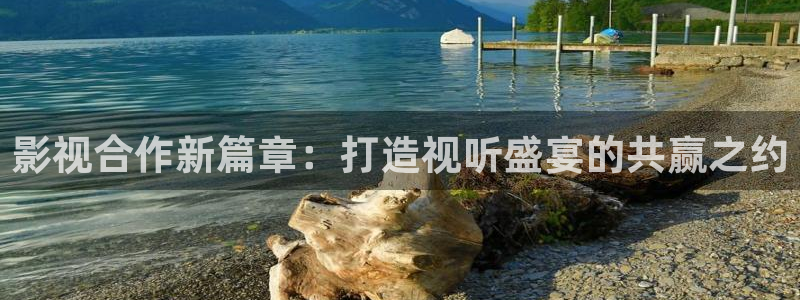 三妹影院免费观看：影视合作新篇章：打造视听盛宴的共赢之约
