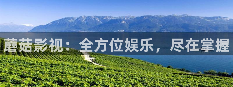三妹影院在线：蘑菇影视：全方位娱乐，尽在掌握
